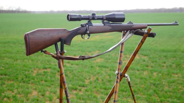 ZIELGLEITER ROBUST PREMIUM